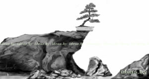 скетчи-бонсай-bonsai