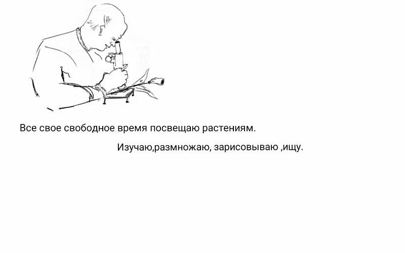  Ломать Дима